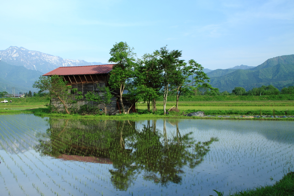 田園風景
