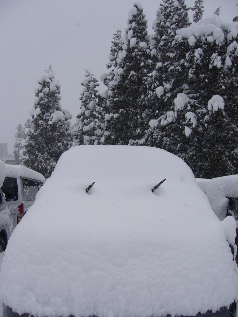 雪だるまコンテスト^o^