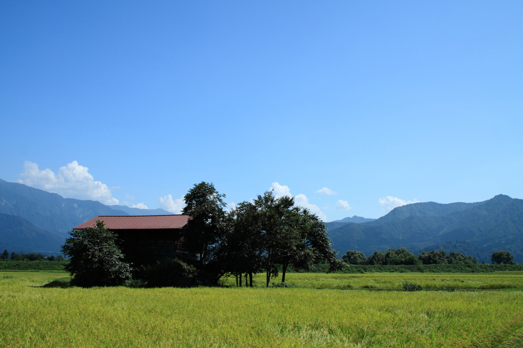 続・田園風景