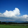 高原野菜