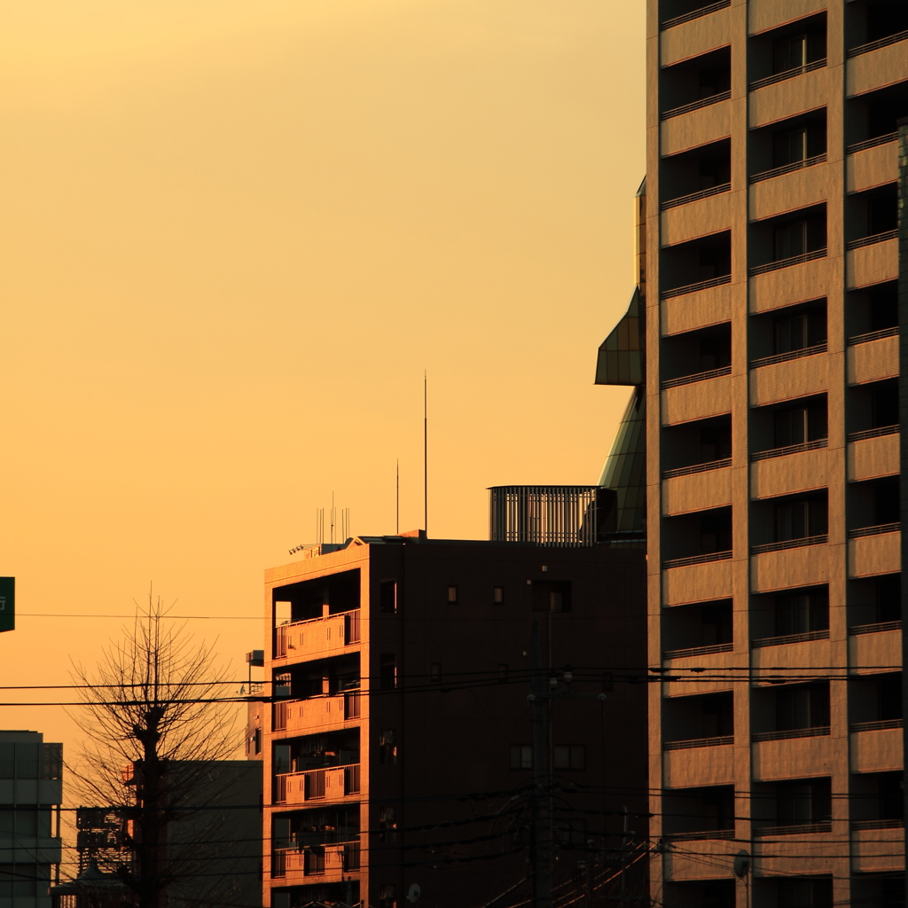 建物の影に何？