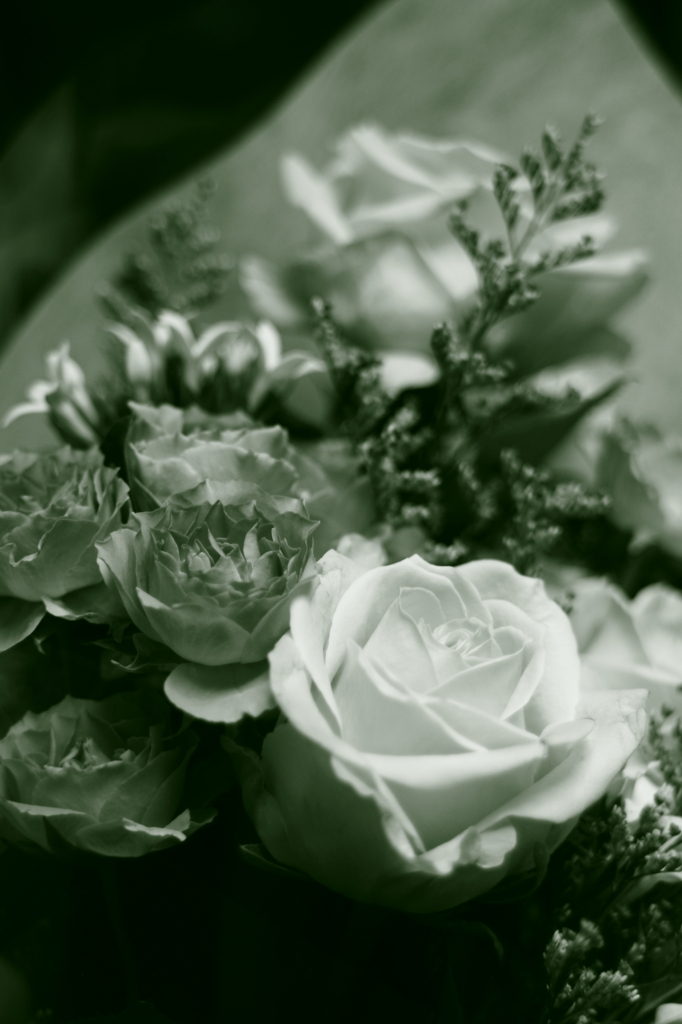 bouquet