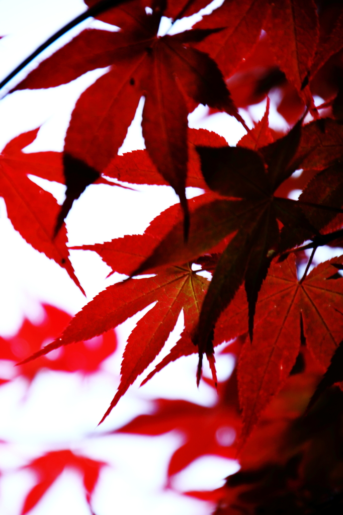 春なのに．．．
