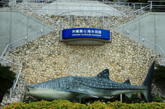 沖縄美ら海水族館