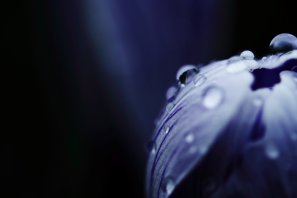 雨ならば．．．
