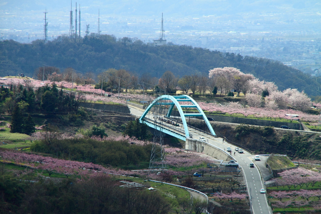 桃と桜と鉄塔と．．．