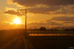 ALWAYS 田舎道の夕日