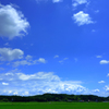 初夏の光景