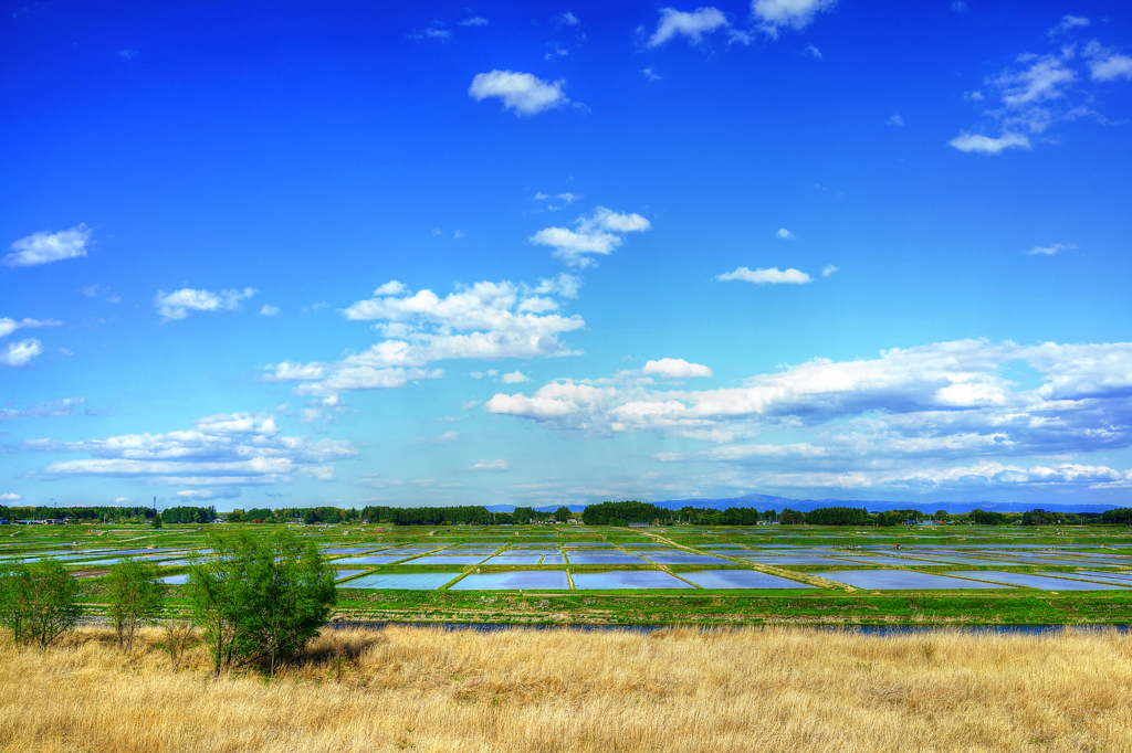 Refreshing scenery