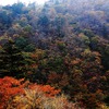 秋色の塩原渓谷