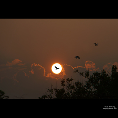 wonderful silhouettes