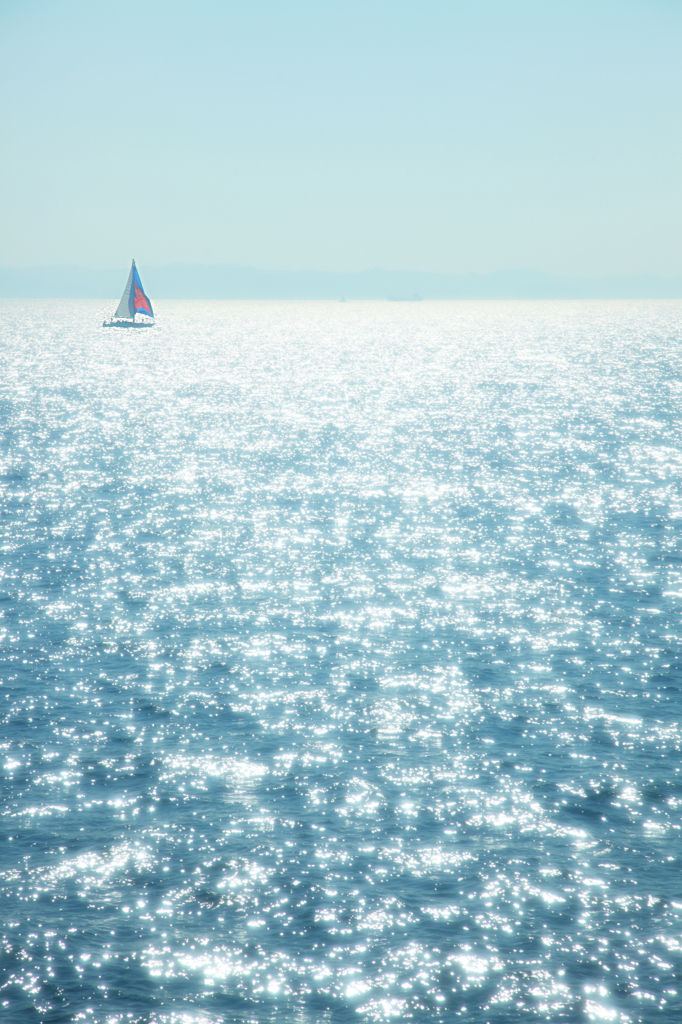 Drowsiness of Tokyo Bay