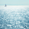 Drowsiness of Tokyo Bay