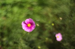 幻想の水面に浮かぶ