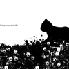 cat walk