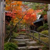 紅葉vol.4