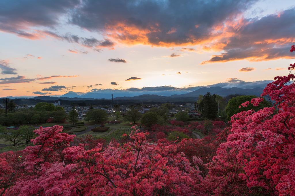 皐月の夕暮れ