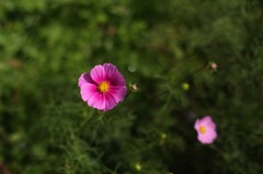 幻想の水面が消えても・・・