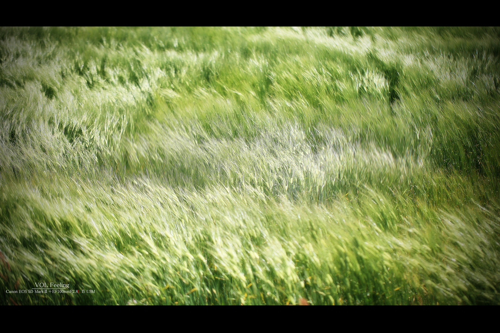 Strong wind