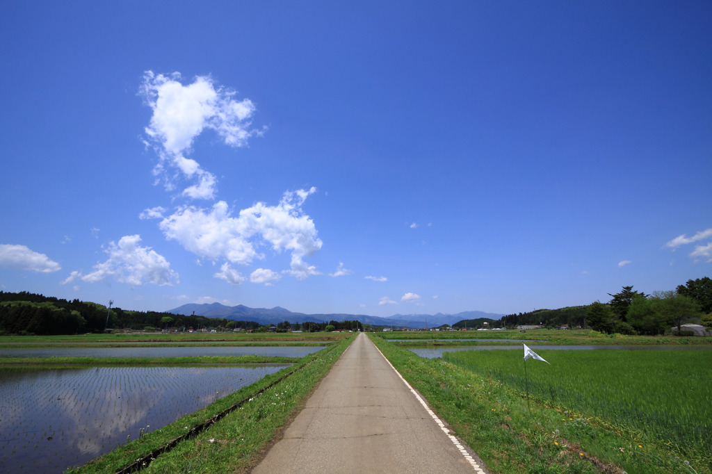 皐月の空を渡る風