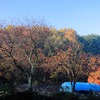 朝日のあたる里山の晩秋