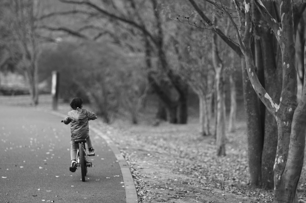 autumn road