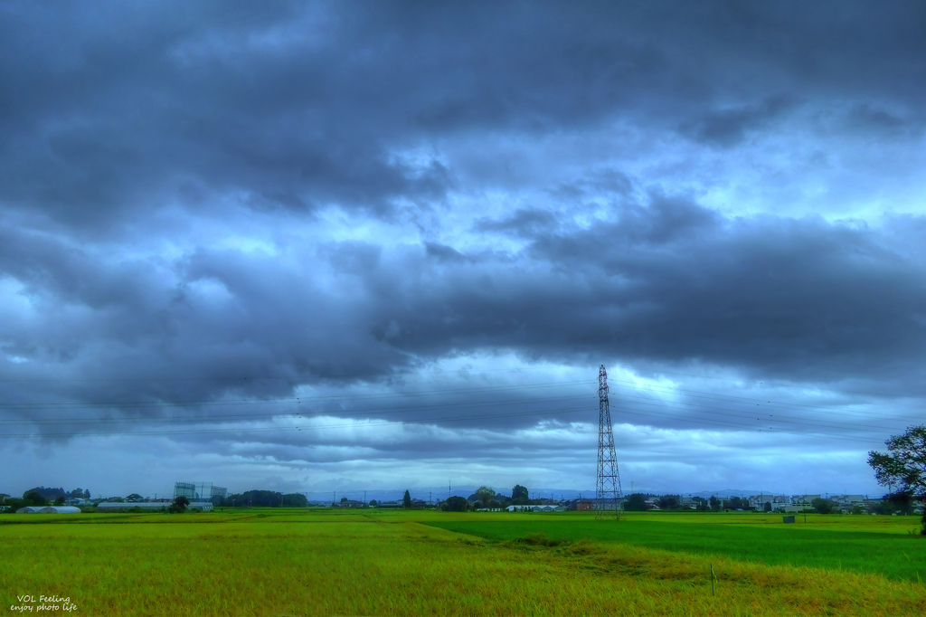 In a light rain
