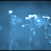 Silent