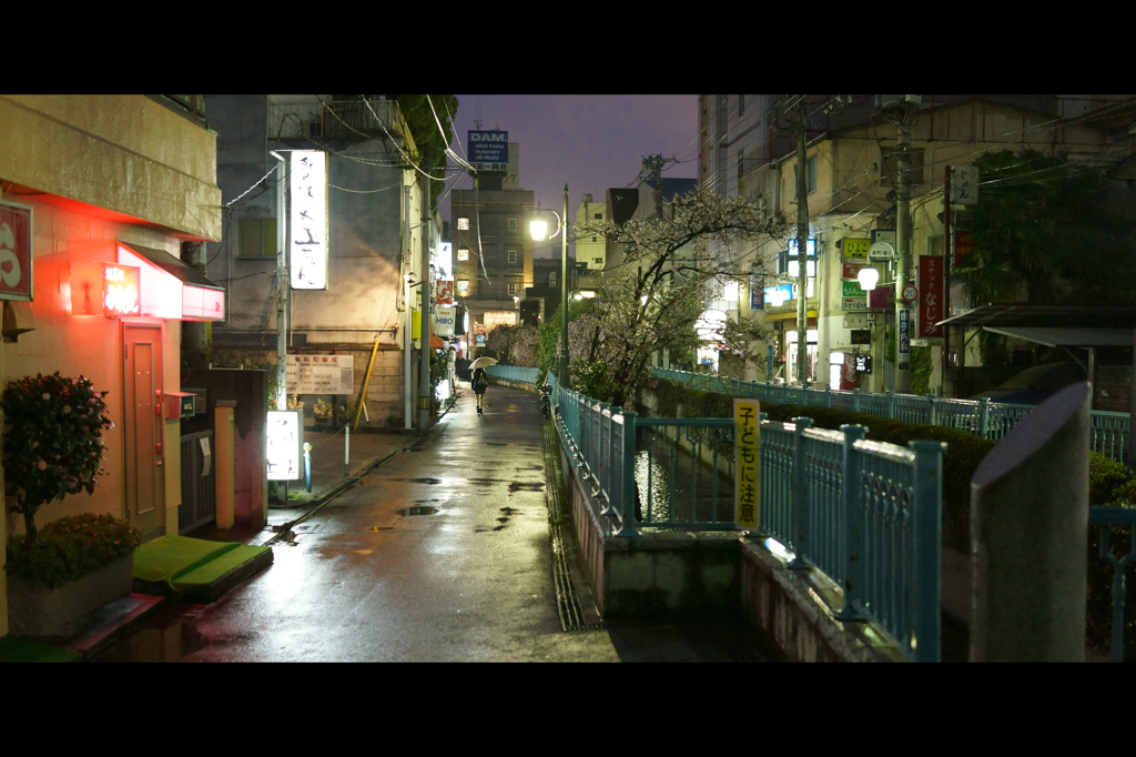 盛り場 堀沿い 雨の夜桜 Ⅳ