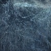 水中の枝 ～Branches in the water～