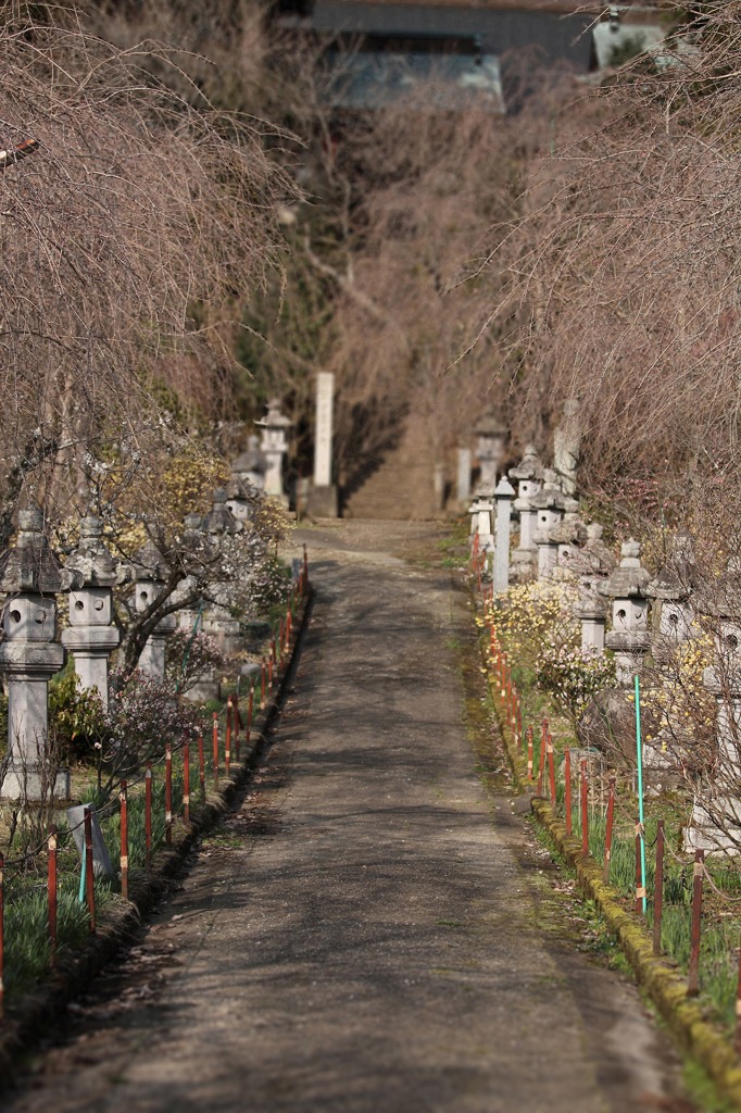 菩提寺の参道
