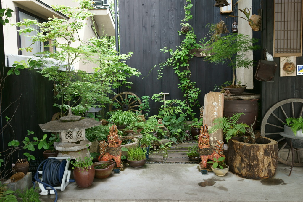 DSC00618