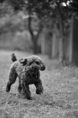 なんか文句あんの？