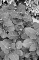 そんな季節・・・