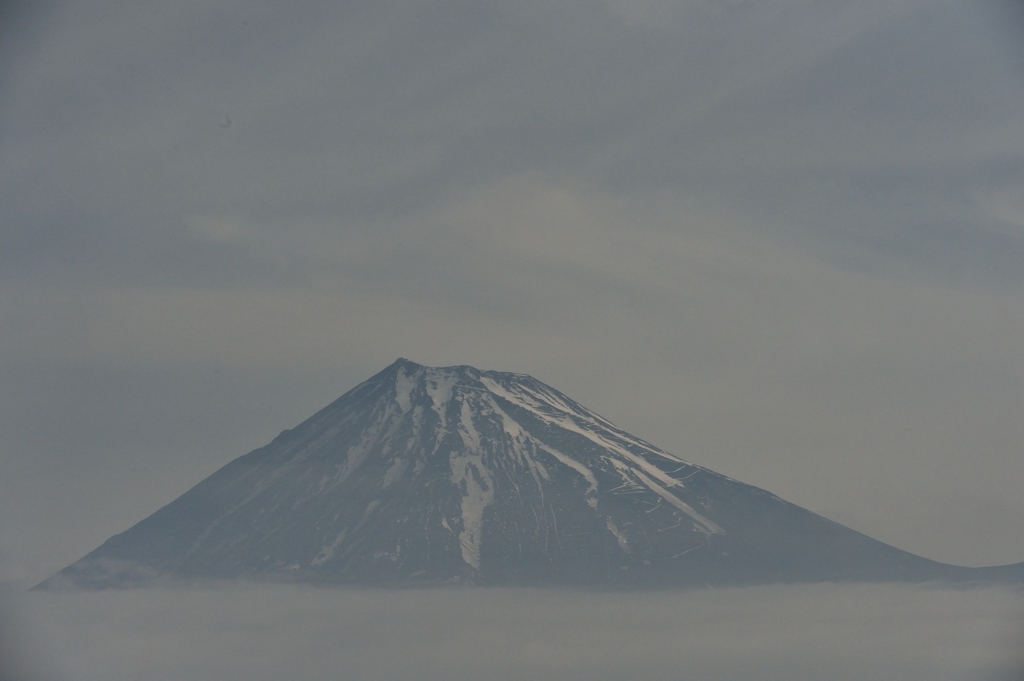 Nikon　D4  ７０－２００ｍｍVRⅡ　180mm