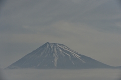 Nikon　D4  ７０－２００ｍｍVRⅡ　180mm