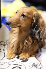 僕　お行儀がいいでしょ＾＾