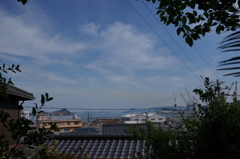 DSC00571