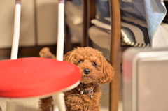 出たいんだけど・・・