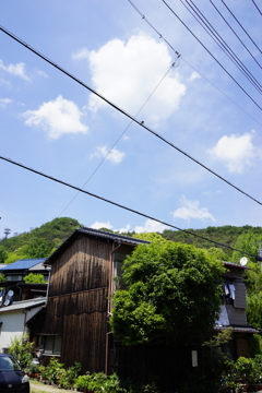 DSC00567