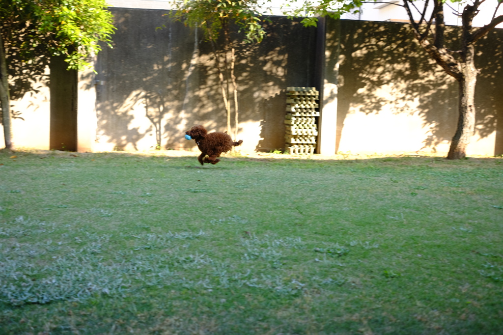 走る～～～～～！