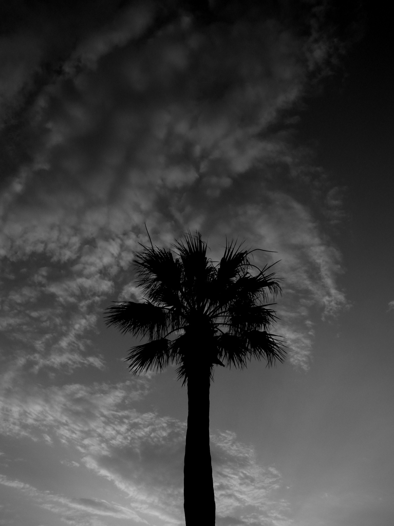 R0019356