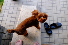 早く行こうよ!!!