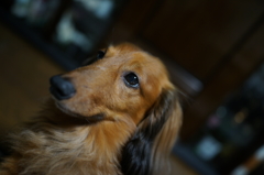 DSC00949