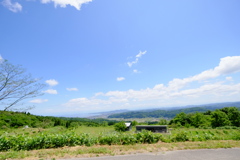 DSCF7171