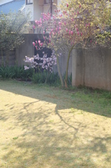 DSCF4307 - コピー