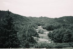 SUMMILUX　1：1.4/35FL030011