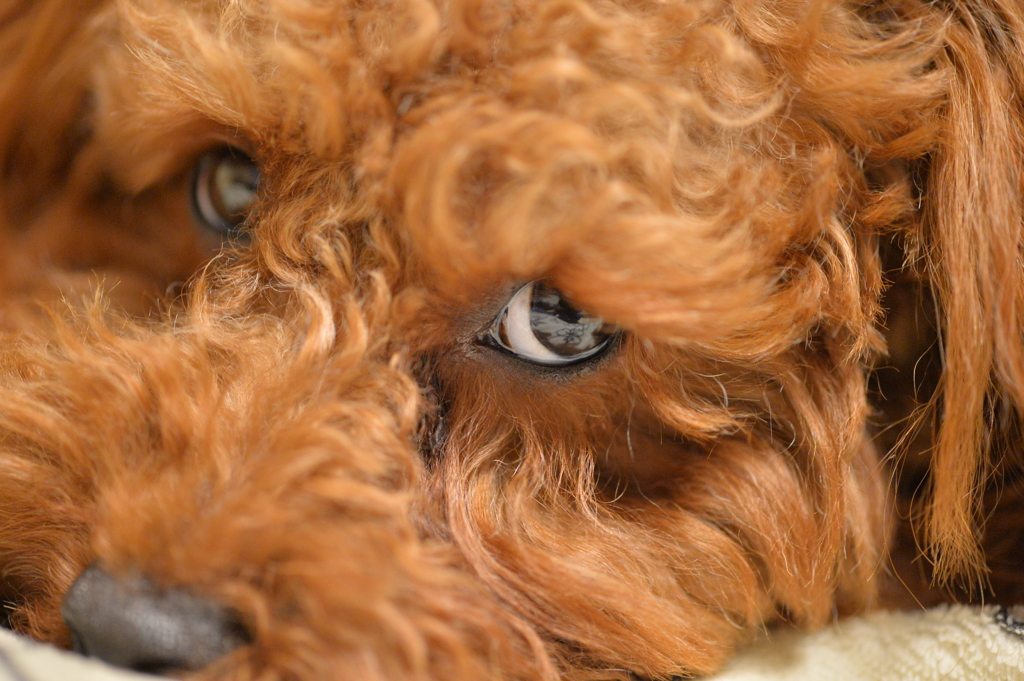 俺は眠いんだよぉ～～～～