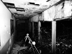 the Corridor