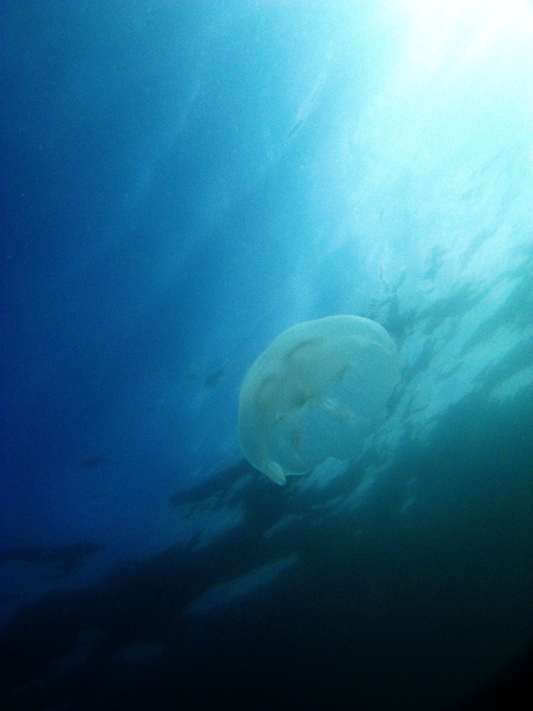 浮遊感